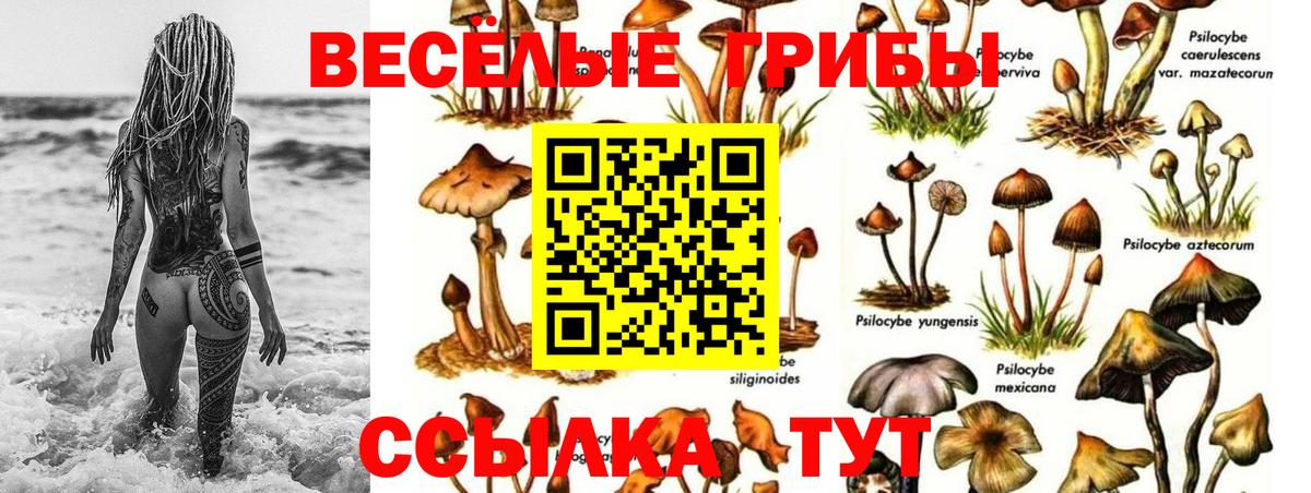 Псилоцибиновые грибы ЛСД Старая Купавна